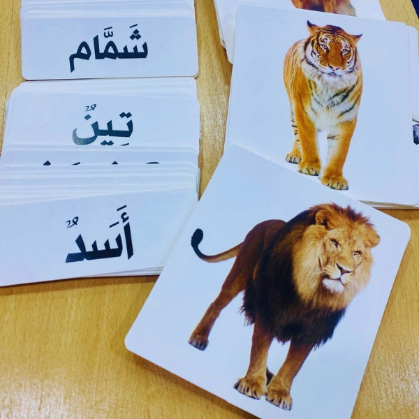 حقيبة مونتيسوري لتعلم القراءة